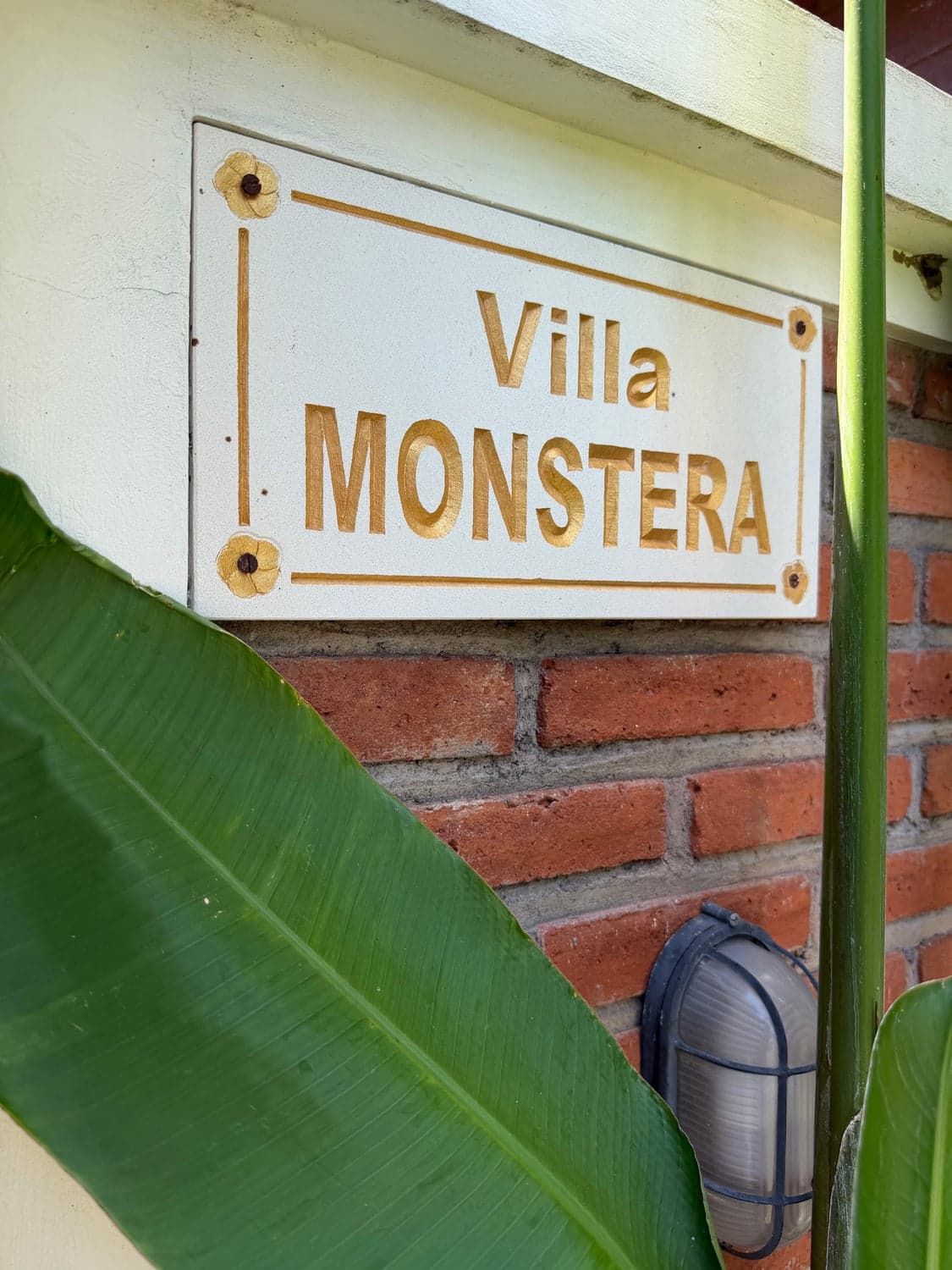 Villa Monstera — Tropical foliage frames every moment of your stay.