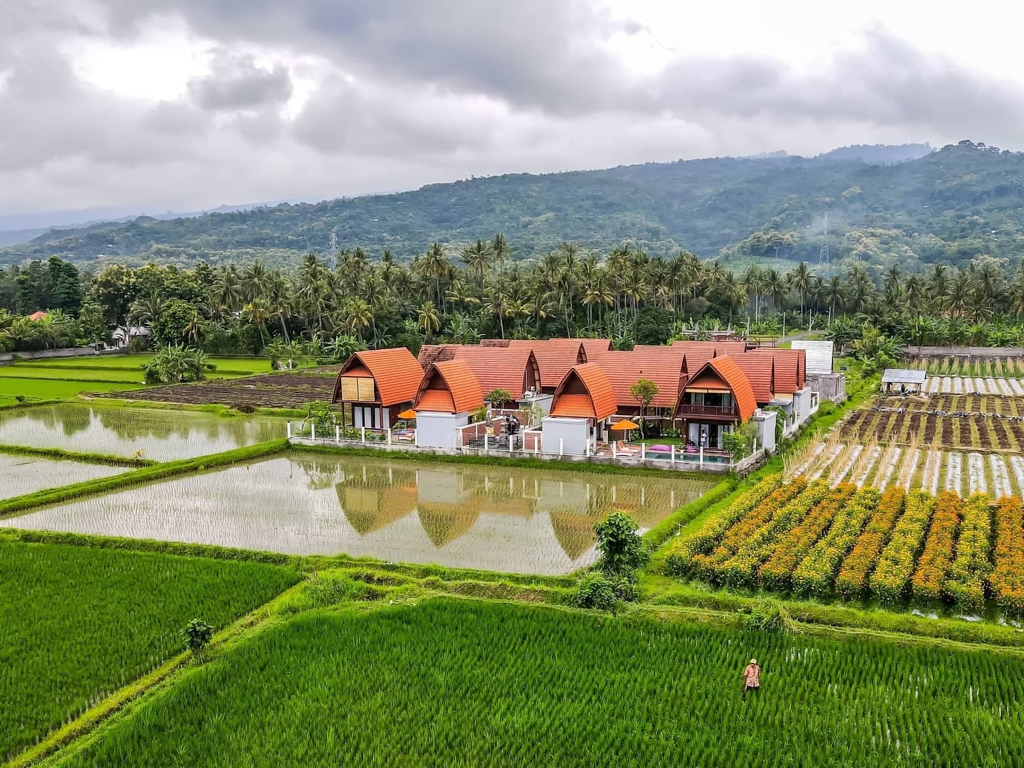 Bhumi Lovina boutique villa estate nestled among emerald rice fields in Temukus, Lovina